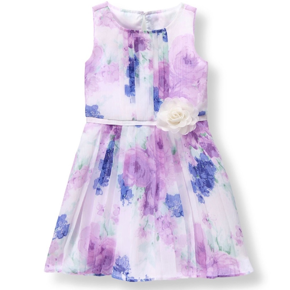 New Janie and Jack pleated floral chiffon dress